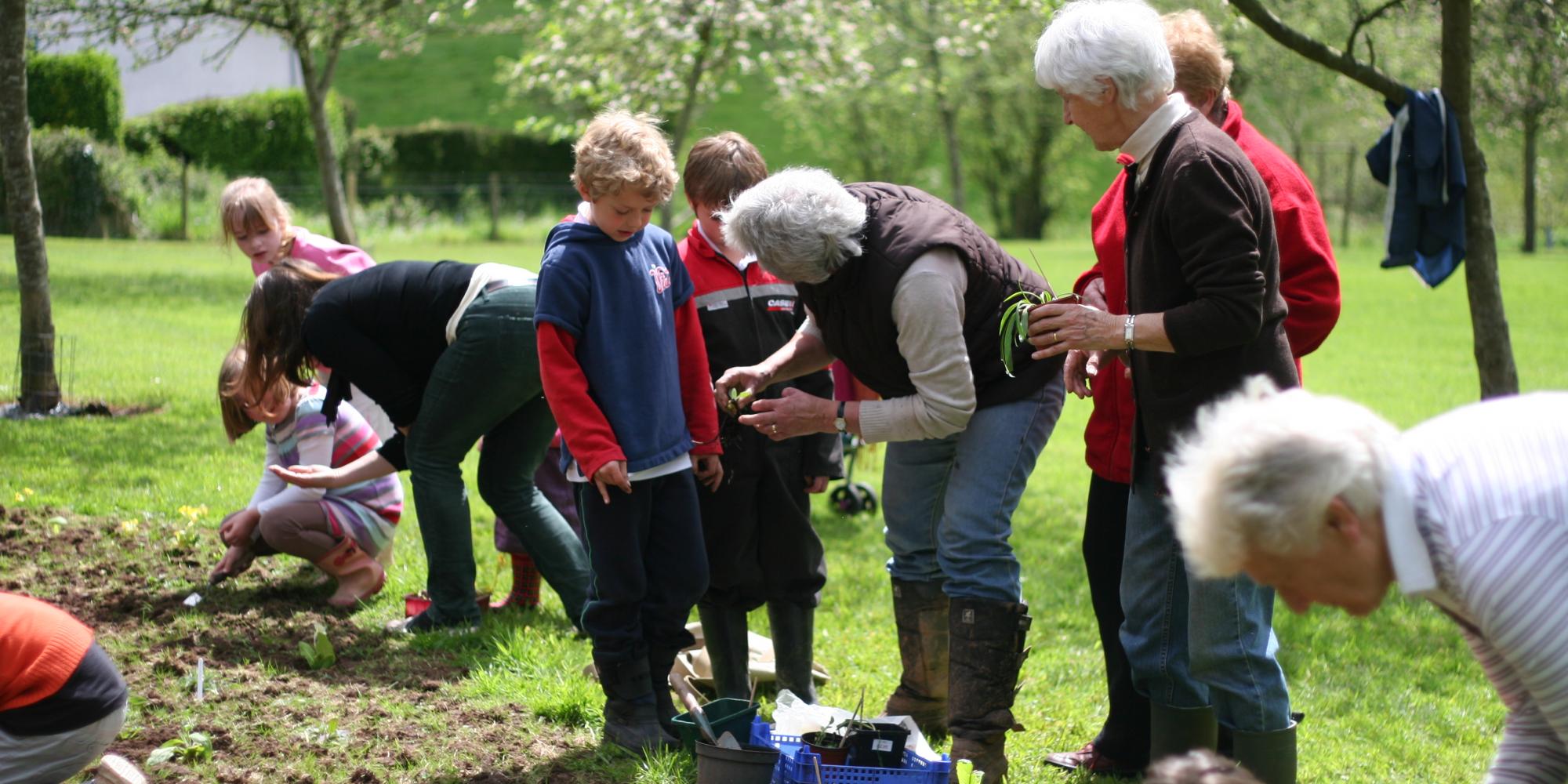 Planting wildflowers in Bickleigh orchard